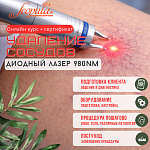 Удаление сосудов диодным лазером: онлайн-курс с сертификатом. Теория и практика (фото)